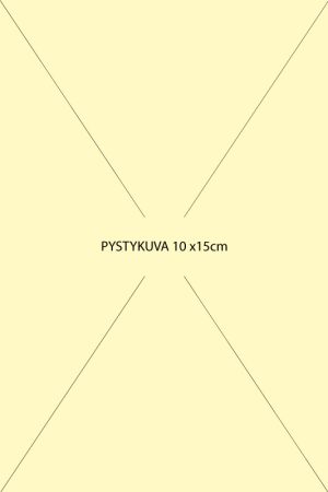 Joulukortti 2-os. 28