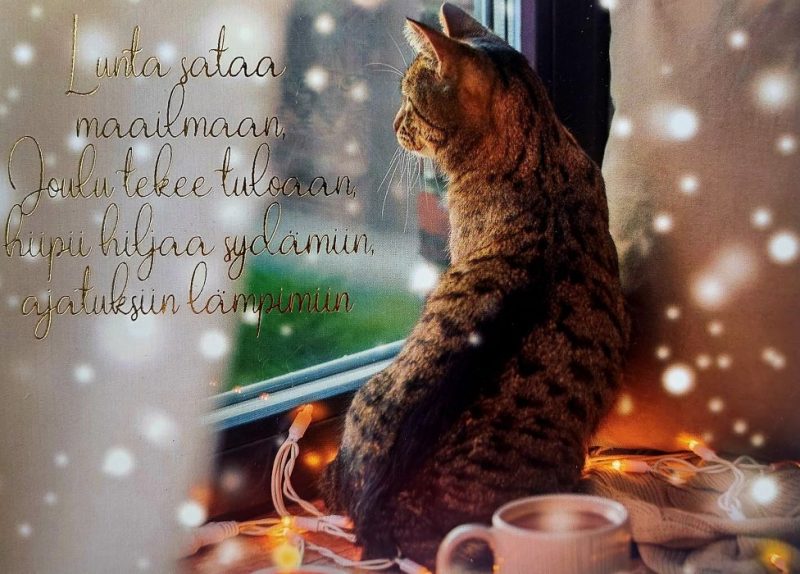 Joulukortti folio 13