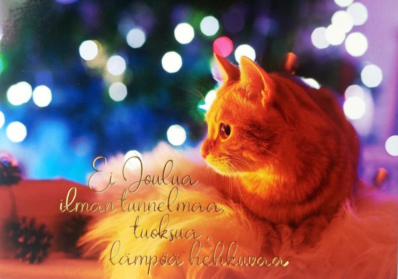 Joulukortti folio 14