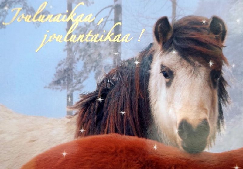 Joulukortti folio 16