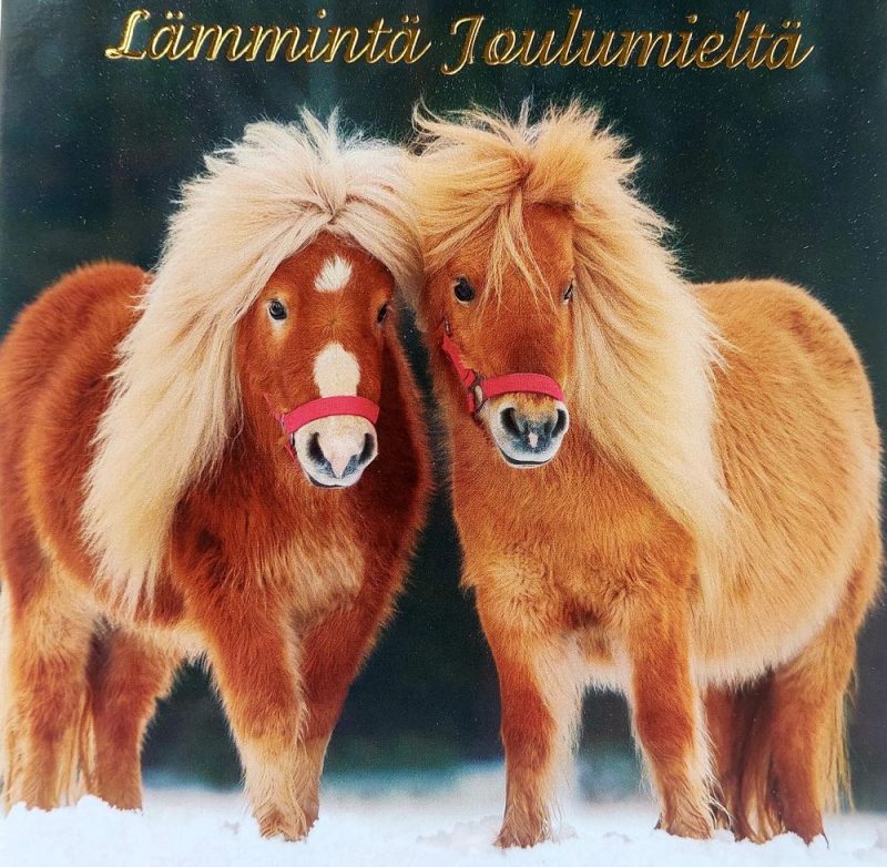 Joulukortti neliö 6